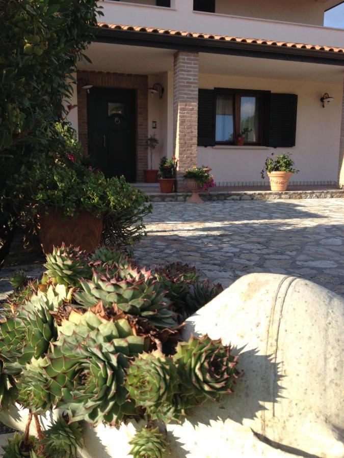 كامبوباسّو Cherry House Bed&Breakfast المظهر الخارجي الصورة